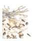 Queena Glass Floor Lamp Matt Silver Colour  5x E14-3