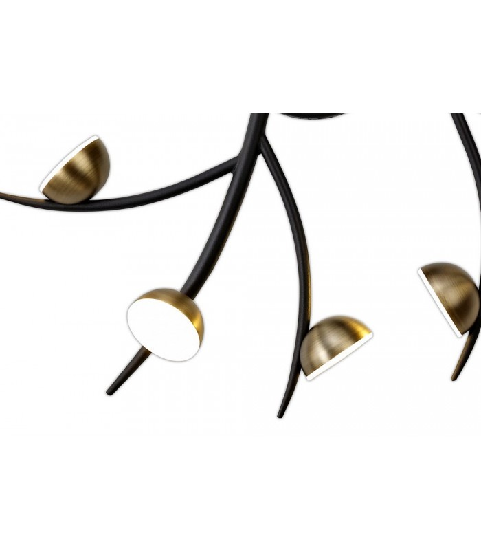 12 Light Semi-Flush, 12 x 3W LED, 3000K, 1980lm, Black, Antique Brass - 6