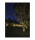 Vercle Outdoor Lighting IP65-IP67 Lineal 500mm LED 10.3W 3000K Black-2