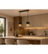 Royal Bar Pendant Ceiling Light Black 50cm 2x E27-2