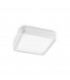 LED 1 Light Small Flush Ceiling Light White - 1