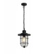 Ceiling Pendant, 1 x E27, Black, Gold With Seeded Clear Glass, IP54 - 1
