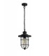Ceiling Pendant, 1 x E27, Black, Gold With Seeded Clear Glass, IP54 - 4