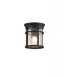 Ceiling, 1 x E27, Black, Clear Crackled Glass, IP54 - 1