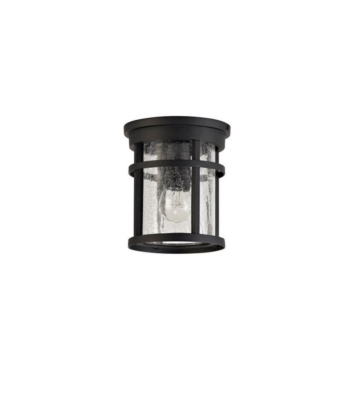 Ceiling, 1 x E27, Black, Clear Crackled Glass, IP54 - 3