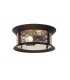 Flush Ceiling Lamp, 2 xE27, Antique Bronze, Clear Ripple Glass, IP54 - 1