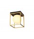 Square Ceiling Flush, 1 Light E14, Matt Black, Painted Gold - 1