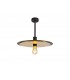 Single 3 In1 Ceiling Flush, Semi-Fush & Dome Ceiling Pendant Light, Adjustable E27, Black, Gold - 7