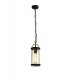 Ceiling Pendant, 1 x E27, Black & Gold, Clear Glass, IP54 - 1