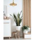 Single Ceiling Dome Pendant, Adjustable E27, Wood Effect - 3
