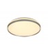 Flush Ceiling 48cm, 1 x 36W LED 3 Step-Dimmable, 3000K, 1575lm, IP44, Silver, White Acrylic - 1