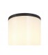 Wall Lamp 2 x E27, IP54, Anthracite, Opal - 4
