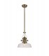 Telescopic Dome Ceiling Pendant E27 With 30cm Flat Round Glass Shade, Antique Brass, Clear - 1