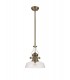 Telescopic Dome Ceiling Pendant E27 With 30cm Flat Round Glass Shade, Antique Brass, Clear - 3