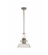 Telescopic Dome Ceiling Pendant E27 With 30cm Flat Round Glass Shade, Polished Nickel, Clear - 1