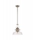 Telescopic Dome Ceiling Pendant E27 With 30cm Flat Round Glass Shade, Polished Nickel, Clear - 3