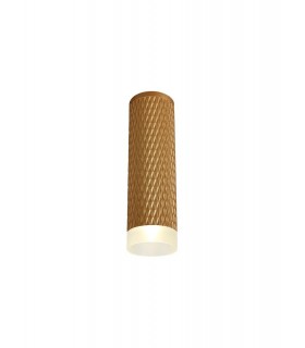 1 Light 20cm Surface Mounted Ceiling GU10, Champagne Gold, Acrylic Ring - 1