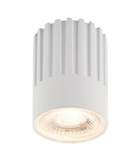 Integrated LED 10W Matt White Paint & Clear Prismatic Pc - 1