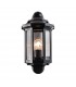 Outdoor Wall Lantern Satin Black Paint, Clear Polycarbonate IP44, E27 - 2