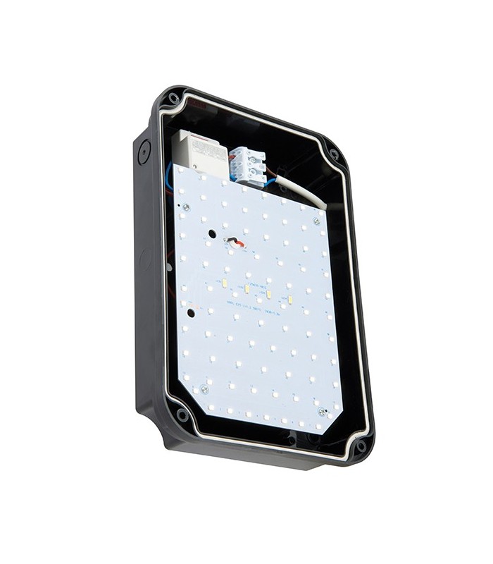 Integrated LED Outdoor Mini Microwave Wall Light Black IP65 - 3