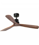 Fans Without Light