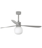 Fans With Light